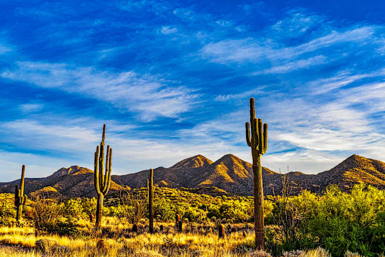 Arizona CPA Requirements