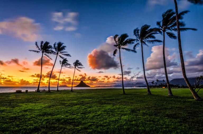 Hawaii CPA Requirements
