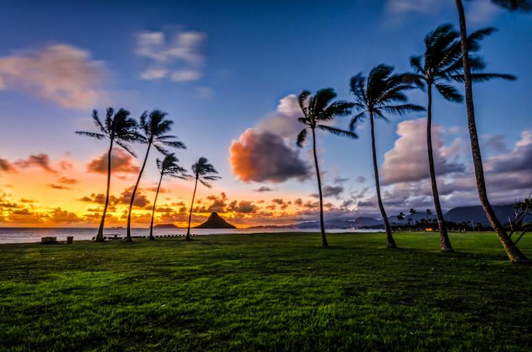 Hawaii CPA Requirements